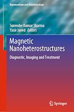 Télécharger le livre :  Magnetic Nanoheterostructures