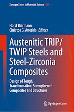 Download this eBook Austenitic TRIP/TWIP Steels and Steel-Zirconia Composites
