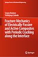 Télécharger le livre :  Fracture Mechanics of Electrically Passive and Active Composites with Periodic Cracking along the Interface