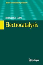 Télécharger le livre :  Electrocatalysis