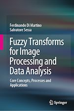 Télécharger le livre :  Fuzzy Transforms for Image Processing and Data Analysis