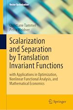Télécharger le livre :  Scalarization and Separation by Translation Invariant Functions