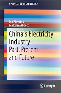 Télécharger le livre :  China's Electricity Industry