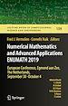 Télécharger le livre :  Numerical Mathematics and Advanced Applications ENUMATH 2019