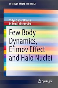 Télécharger le livre :  Few Body Dynamics, Efimov Effect and Halo Nuclei