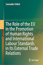 Télécharger le livre :  The Role of the EU in the Promotion of Human Rights and International Labour Standards in Its External Trade Relations