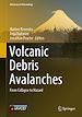 Télécharger le livre :  Volcanic Debris Avalanches