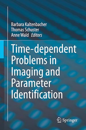 Téléchargez le livre :  Time-dependent Problems in Imaging and Parameter Identification