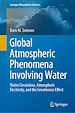 Télécharger le livre :  Global Atmospheric Phenomena Involving Water