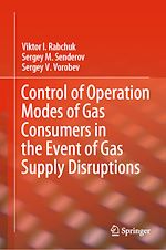 Télécharger le livre :  Control of Operation Modes of Gas Consumers in the Event of Gas Supply Disruptions