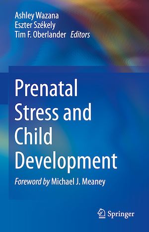 Téléchargez le livre :  Prenatal Stress and Child Development
