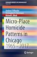 Télécharger le livre :  Micro-Place Homicide Patterns in Chicago
