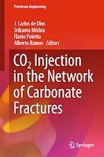 Télécharger le livre :  CO2 Injection in the Network of Carbonate Fractures