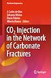 Télécharger le livre :  CO2 Injection in the Network of Carbonate Fractures
