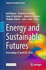 Download this eBook Energy and Sustainable Futures