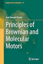 Télécharger le livre :  Principles of Brownian and Molecular Motors