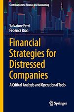 Télécharger le livre :  Financial Strategies for Distressed Companies