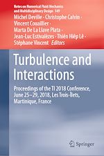 Download this eBook Turbulence and Interactions