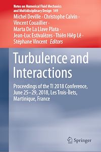 Télécharger le livre :  Turbulence and Interactions