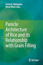 Télécharger le livre :  Panicle Architecture of Rice and its Relationship with Grain Filling