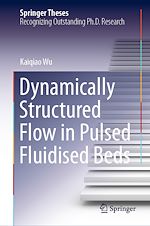 Télécharger le livre :  Dynamically Structured Flow in Pulsed Fluidised Beds