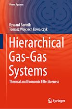 Télécharger le livre :  Hierarchical Gas-Gas Systems