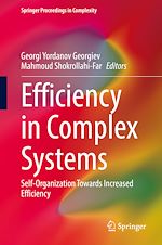 Download this eBook Efficiency in Complex Systems