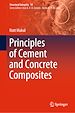 Télécharger le livre :  Principles of Cement and Concrete Composites
