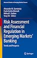 Télécharger le livre :  Risk Assessment and Financial Regulation in Emerging Markets' Banking