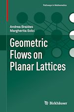 Télécharger le livre :  Geometric Flows on Planar Lattices