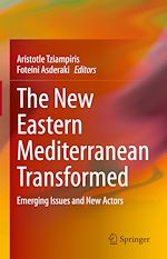 Télécharger le livre :  The New Eastern Mediterranean Transformed