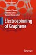 Télécharger le livre :  Electrospinning of Graphene