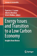 Télécharger le livre :  Energy Issues and Transition to a Low Carbon Economy