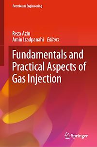 Téléchargez le livre :  Fundamentals and Practical Aspects of Gas Injection