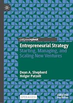 Download this eBook Entrepreneurial Strategy