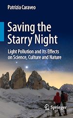 Télécharger le livre :  Saving the Starry Night