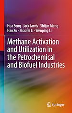 Télécharger le livre :  Methane Activation and Utilization in the Petrochemical and Biofuel Industries