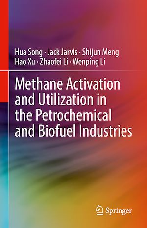 Téléchargez le livre :  Methane Activation and Utilization in the Petrochemical and Biofuel Industries
