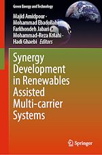 Télécharger le livre :  Synergy Development in Renewables Assisted Multi-carrier Systems