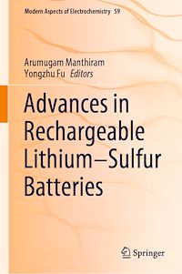 Télécharger le livre :  Advances in Rechargeable Lithium–Sulfur Batteries