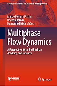 Télécharger le livre :  Multiphase Flow Dynamics