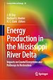 Télécharger le livre :  Energy Production in the Mississippi River Delta