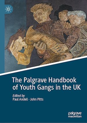 Téléchargez le livre :  The Palgrave Handbook of Youth Gangs in the UK