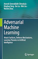 Télécharger le livre :  Adversarial Machine Learning