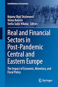 Télécharger le livre :  Real and Financial Sectors in Post-Pandemic Central and Eastern Europe