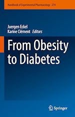 Télécharger le livre :  From Obesity to Diabetes