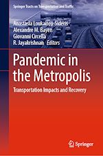 Télécharger le livre :  Pandemic in the Metropolis