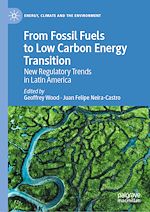 Télécharger le livre :  From Fossil Fuels to Low Carbon Energy Transition