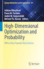 Download this eBook High-Dimensional Optimization and Probability