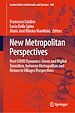 Télécharger le livre :  New Metropolitan Perspectives